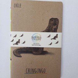 Libreta de Notas Chungungo