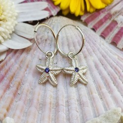 Aros Plata Estrella Mini...