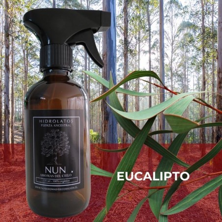 Hidrolato Orgánico 250cc  Eucalipto