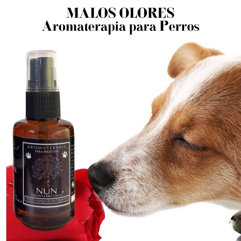 Aromaterapia Perros Spray 30cc Mal Olor