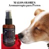 Aromaterapia Perros Spray 30cc Mal Olor