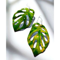Aros Monstera Adansonii...