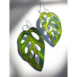 Aros Monstera Adansonii...