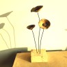 Amapolas