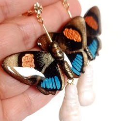 Aretes Mariposa 8