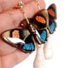 Aretes Mariposa 8