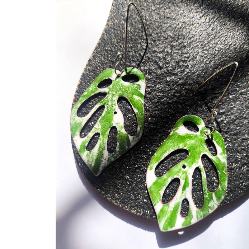 Aros Monsteras Adansonii Variegado Ovalados Maxi