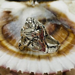 Anillos Plata Picoroco