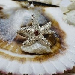 Anillo Plata Estrella y...