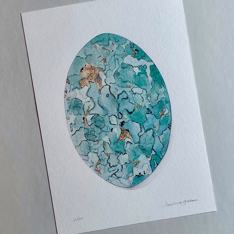 Impresión piedra Tuequesa