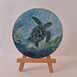 Círculo Tortuga Marina