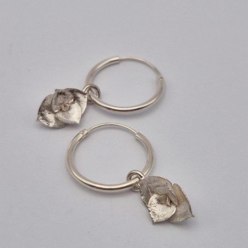 ARGOLLAS y SUCULENTA C1