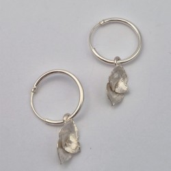 ARGOLLAS y SUCULENTA C1