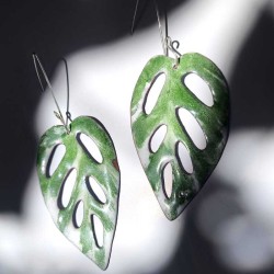 Aros Monsteras Adansonii...