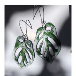 Aros Monsteras Adansonii...