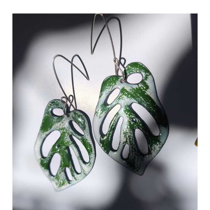 Aros Monsteras Adansonii Variegadas Coras