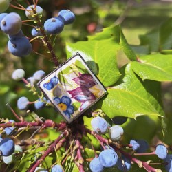 Anillo cuadrado de flores