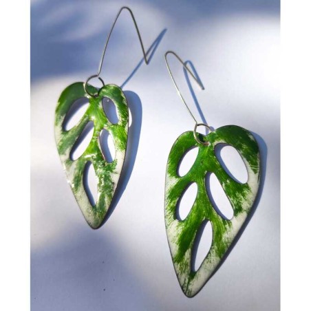 Aros Monsteras Adansonii Variegadas Medium