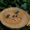 Aros Mycena Cyanophala patina