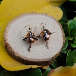 Aros Chilco