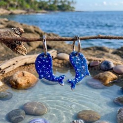 Aros Ballena Del Pacifico 1