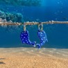 Aros Ballena Del Pacifico 1