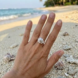 Anillo Plata Caracol Silvestre