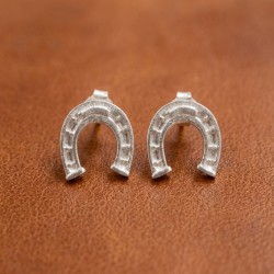 Aros Plata Herradura