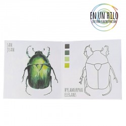 Coloreable fauna chilena