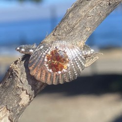 Anillo Plata Kai Circón...